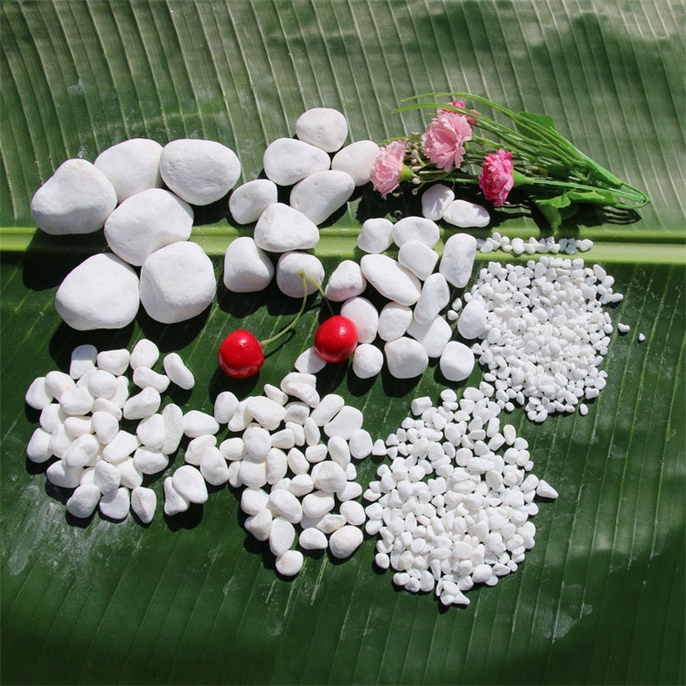 园艺花盆洒面装饰白石子3-10mm纯白色花盆容器配景白玉石