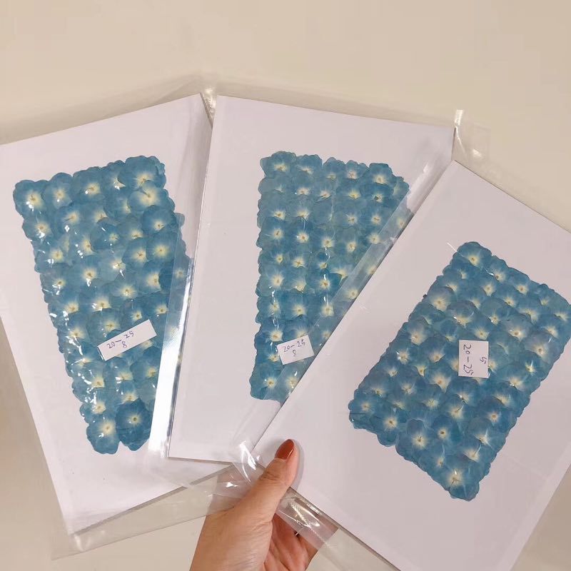 FD5A35AE80272B318DD3A21DC1A911