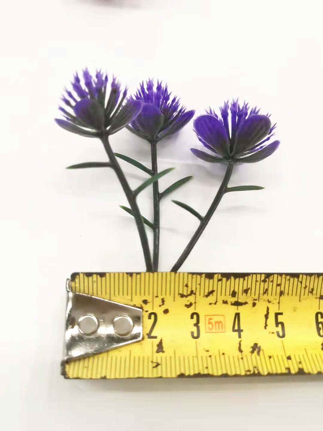 图片_20191213110601_副本