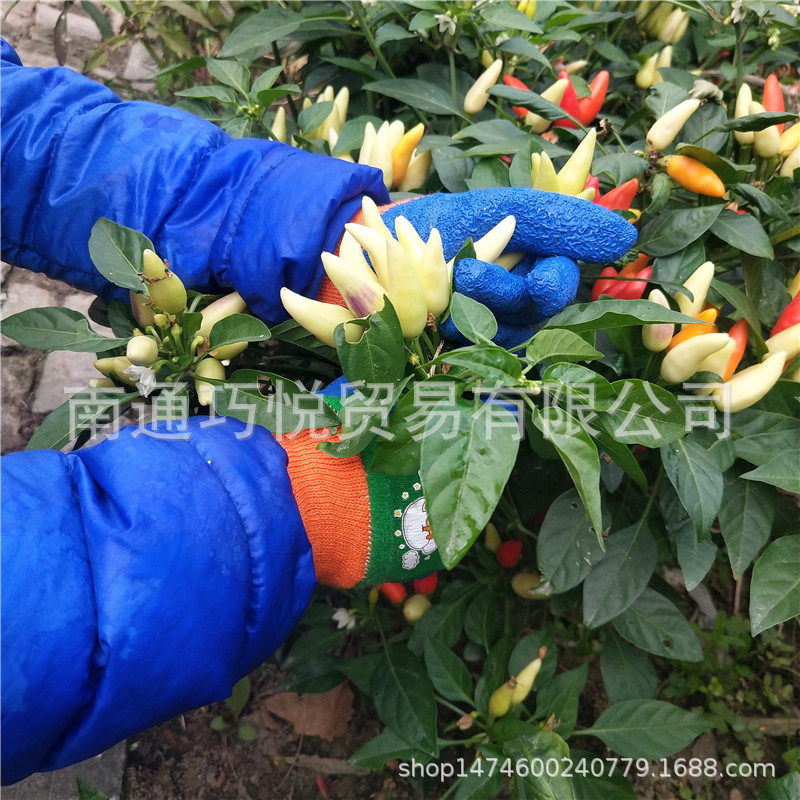 微信图片_20201026221552_副本