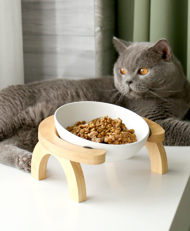彩虹架猫碗_11.jpg