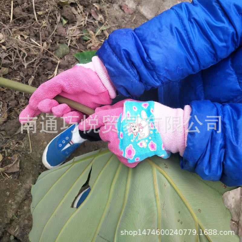 微信图片_20201026221600_副本
