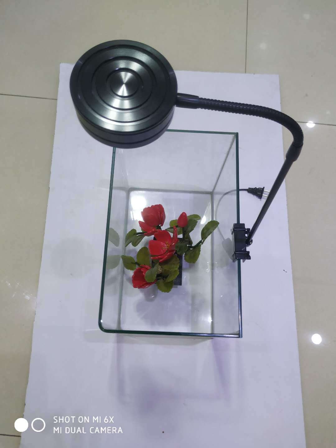 微信图片_20200411205418