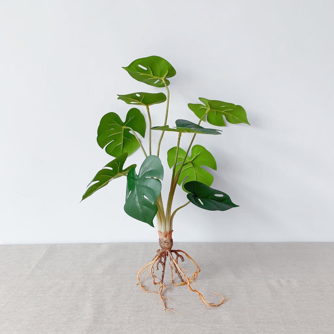 d36b973acc2b19ae533874f497804d