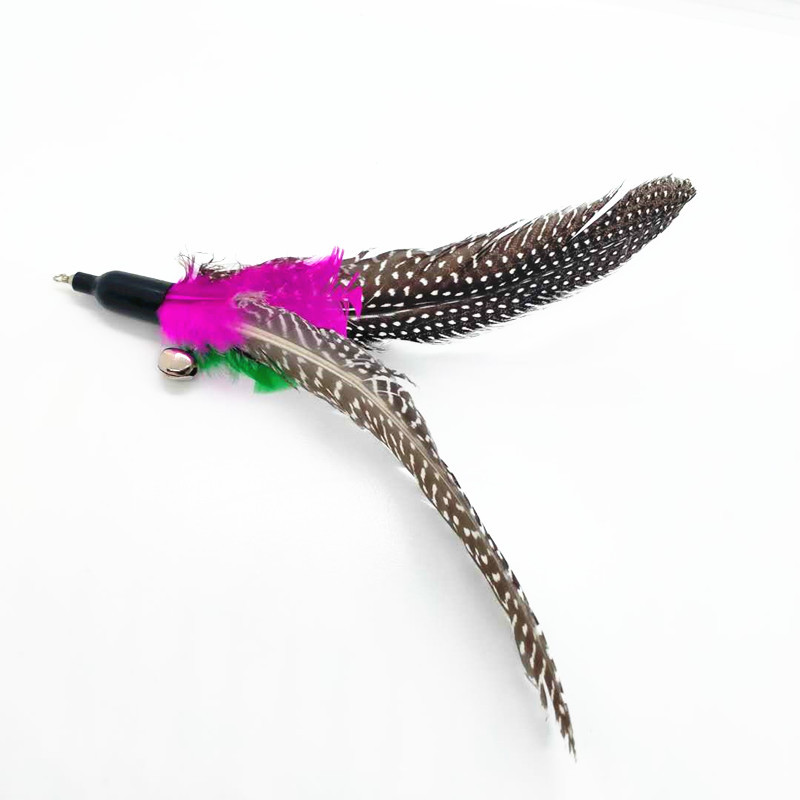 微信图片_20200927173538