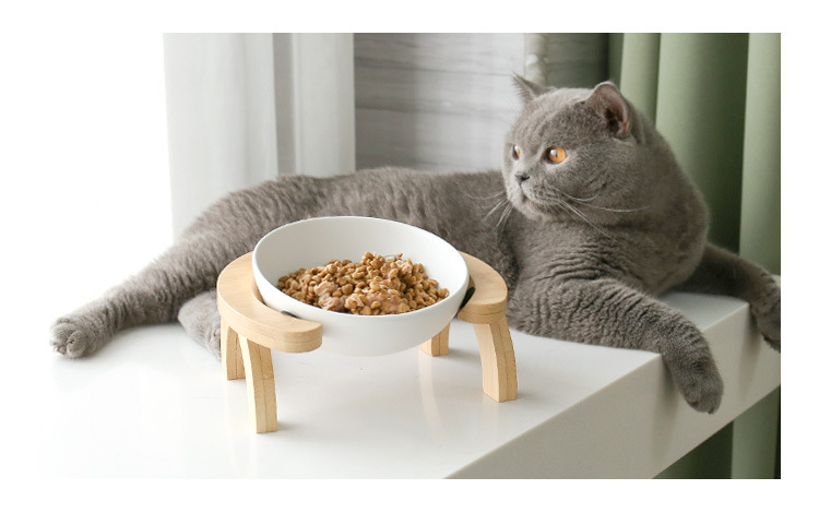 彩虹架猫碗_02.jpg