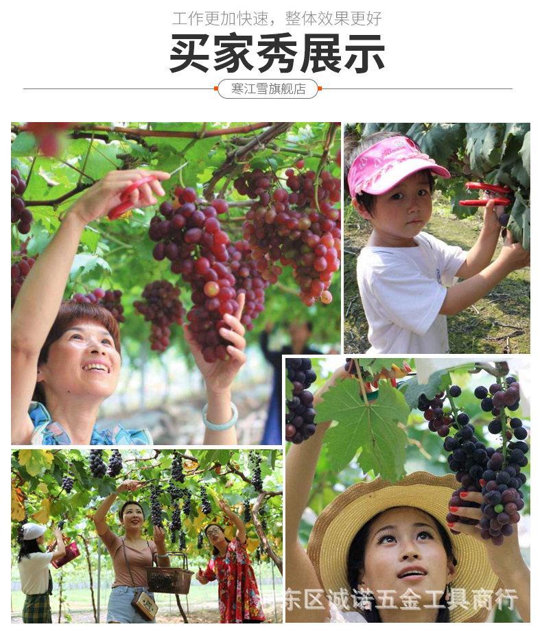 O1CN01UwOEHk1ssyojANqq8_!!3408