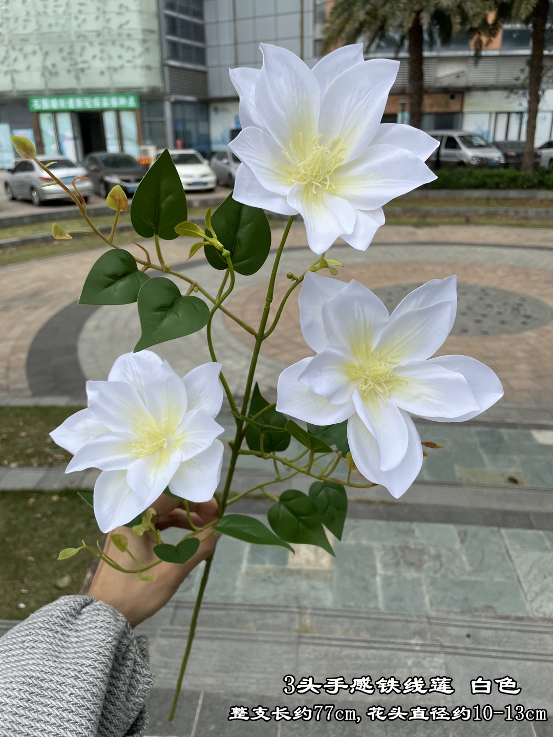 微信图片_20220112141831_副本