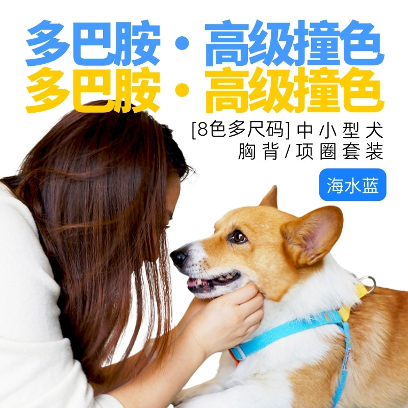 多巴胺撞色 (5).jpg