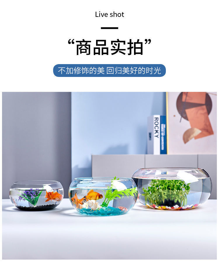 6a0f2bcd-dd3b-455d-956c-8cff0301a0ea.jpe