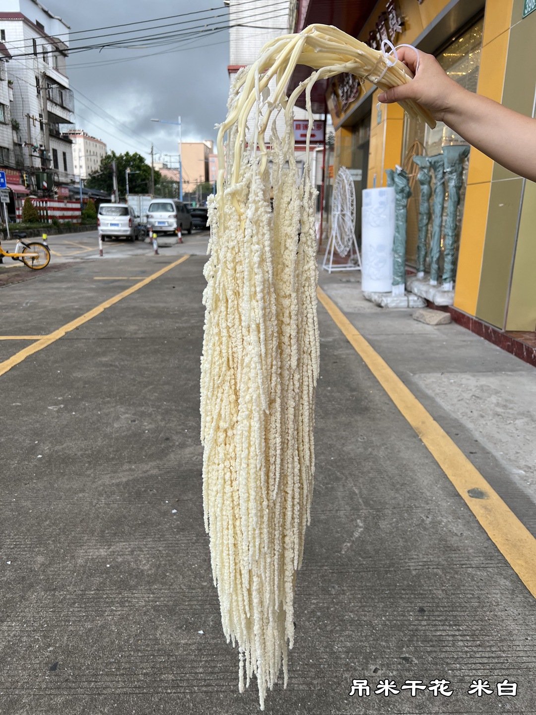 微信图片_20220812132856