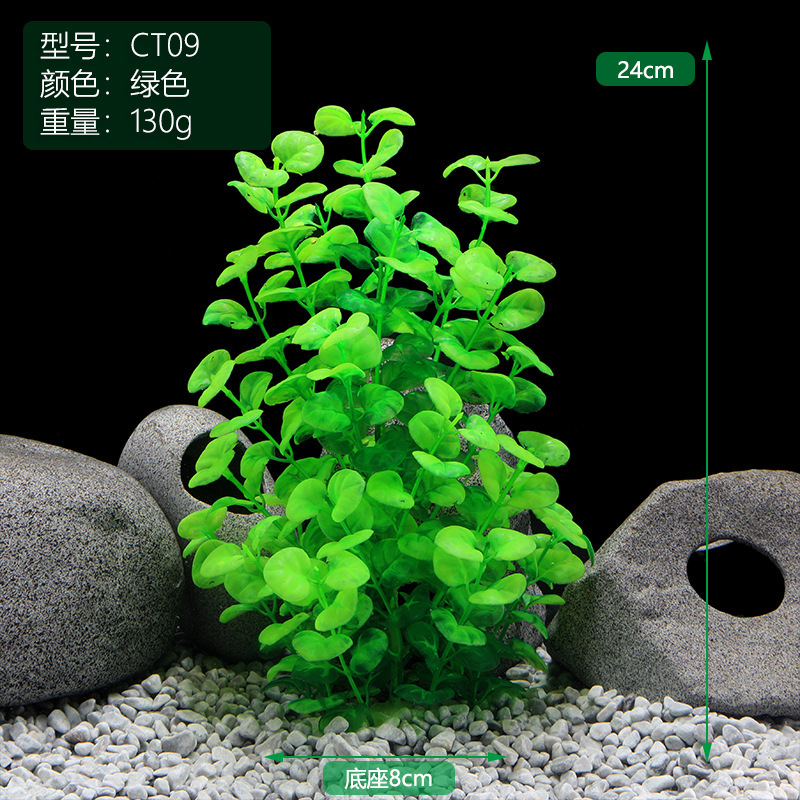 CT009绿色.jpg