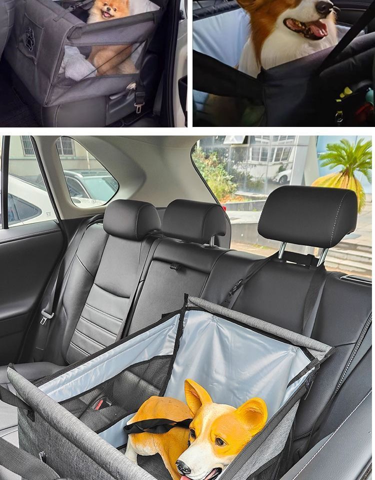 2f631b18-2f09-46d3-acee-71f2145f36fe.jpe