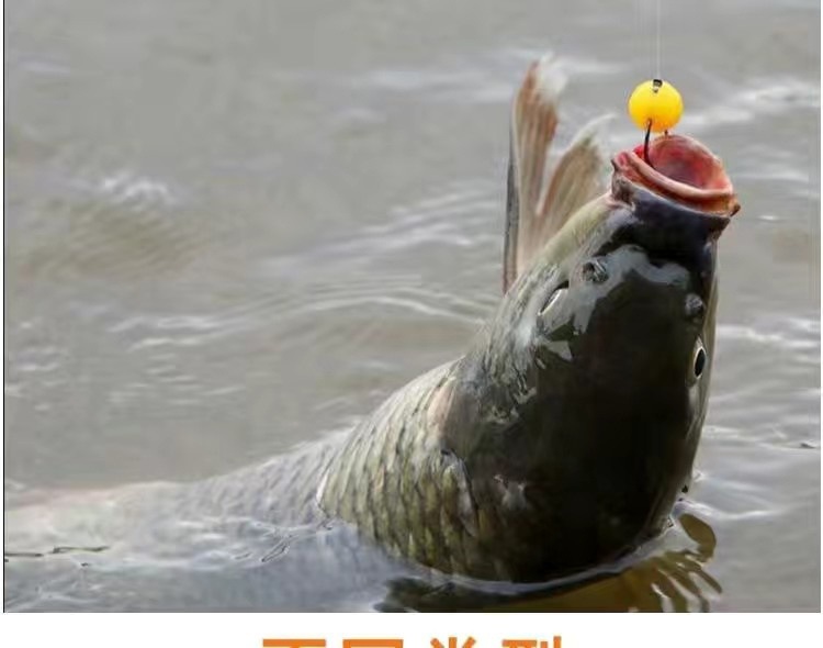 481f2e0e-323a-47ee-9476-bddc025d120d.jpe