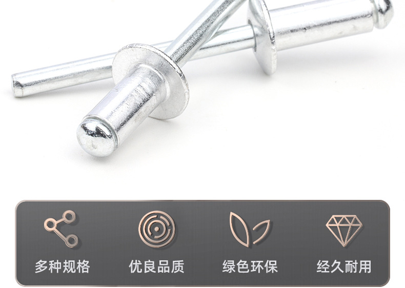 全碳钢半圆头抽芯铆钉_03_03.jpg