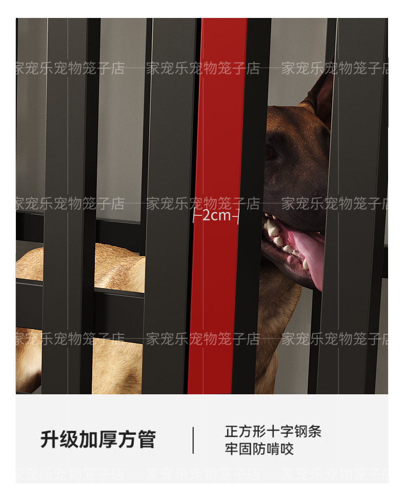 197d536b-579d-471b-832f-1735ddee9e65.jpe