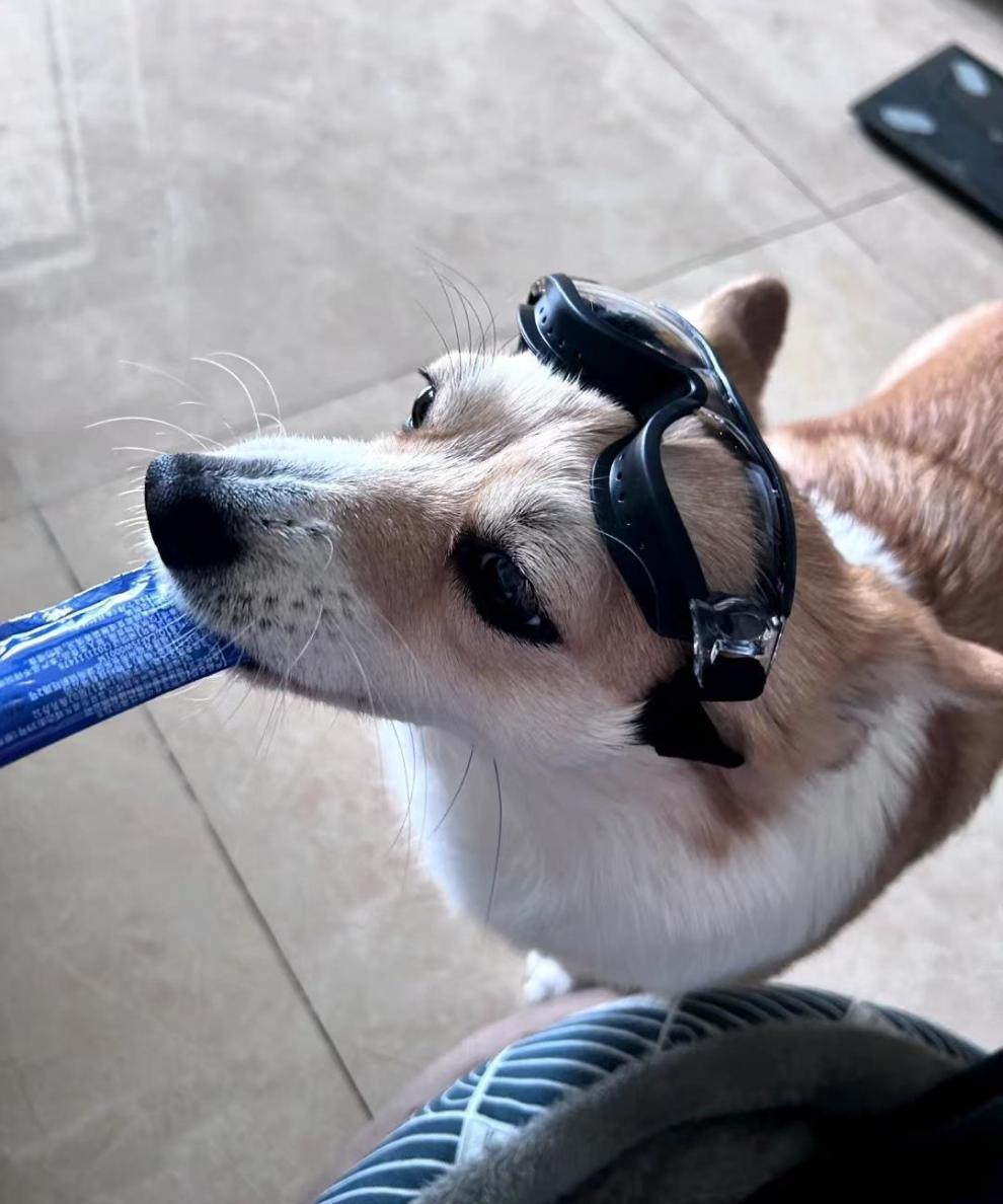 f58d48f6-ef99-45d5-bff5-d33c4798a6a5.jpe