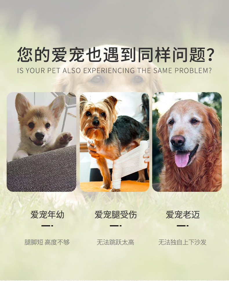 狗楼梯_03.jpg