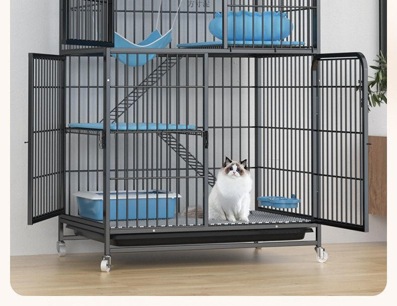 8079206a-c810-418d-9332-3cab9abf7a5e.jpe