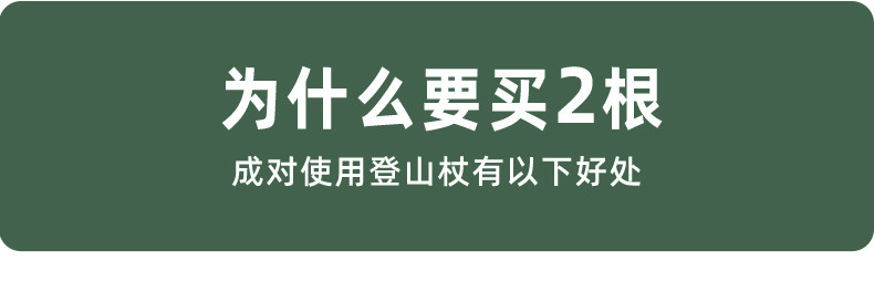 912ff451-73db-401e-91da-61fe87a2bfdc.jpe