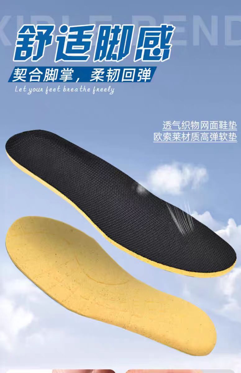 微信图片_20240811095500