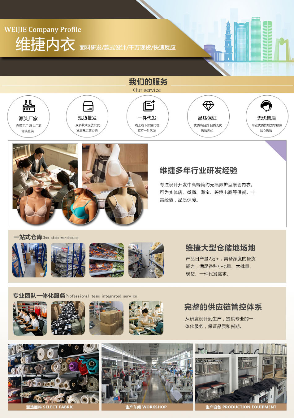 维捷详情