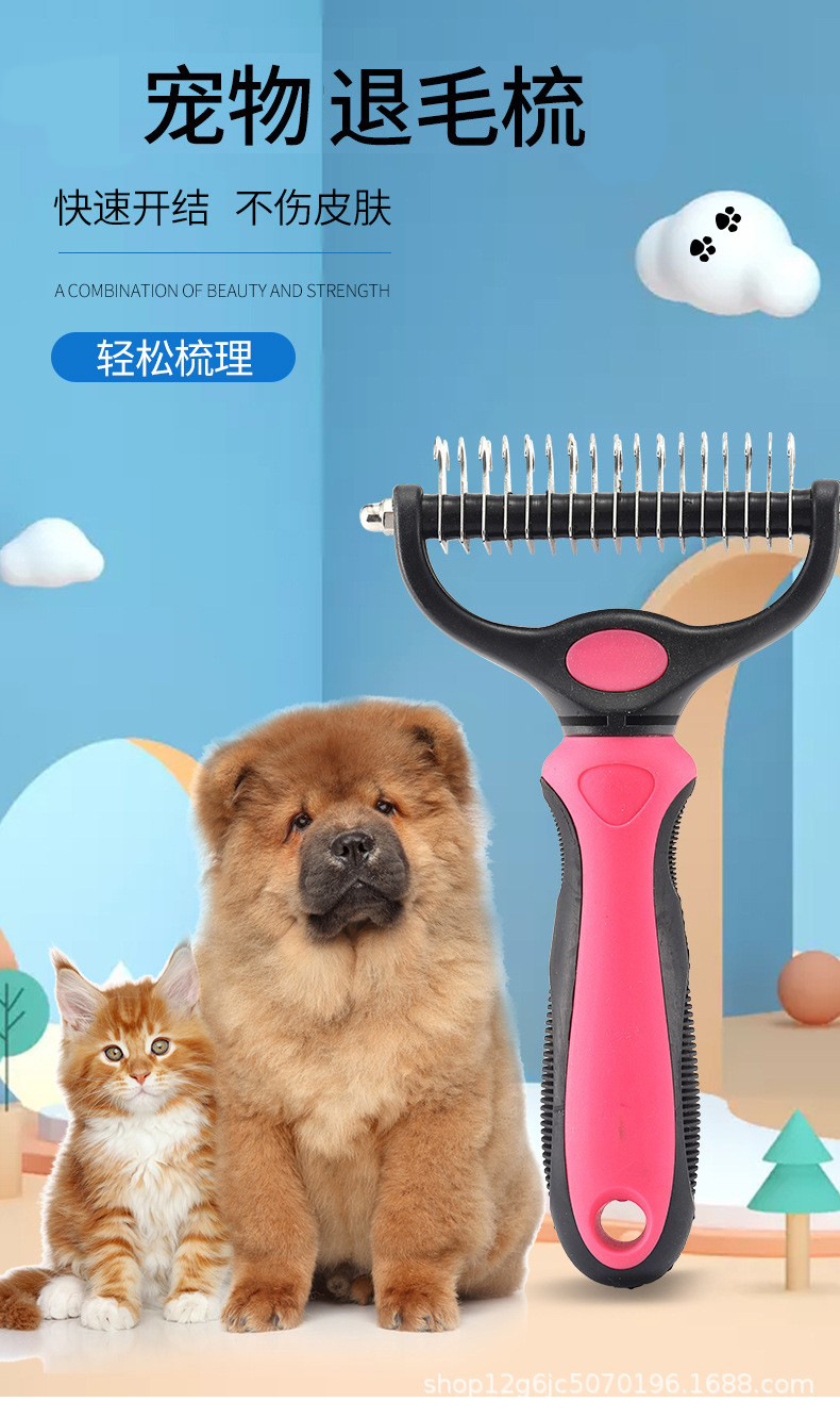 21435501225_1492698114