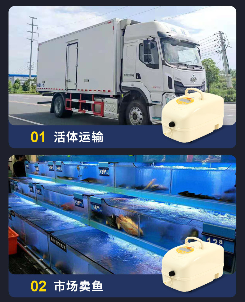 96e1161f-d770-4409-ba73-45a8675a4479.jpe