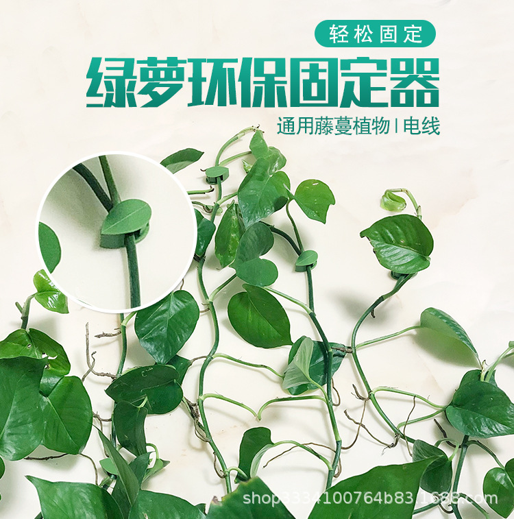 绿萝固定器1_01.jpg