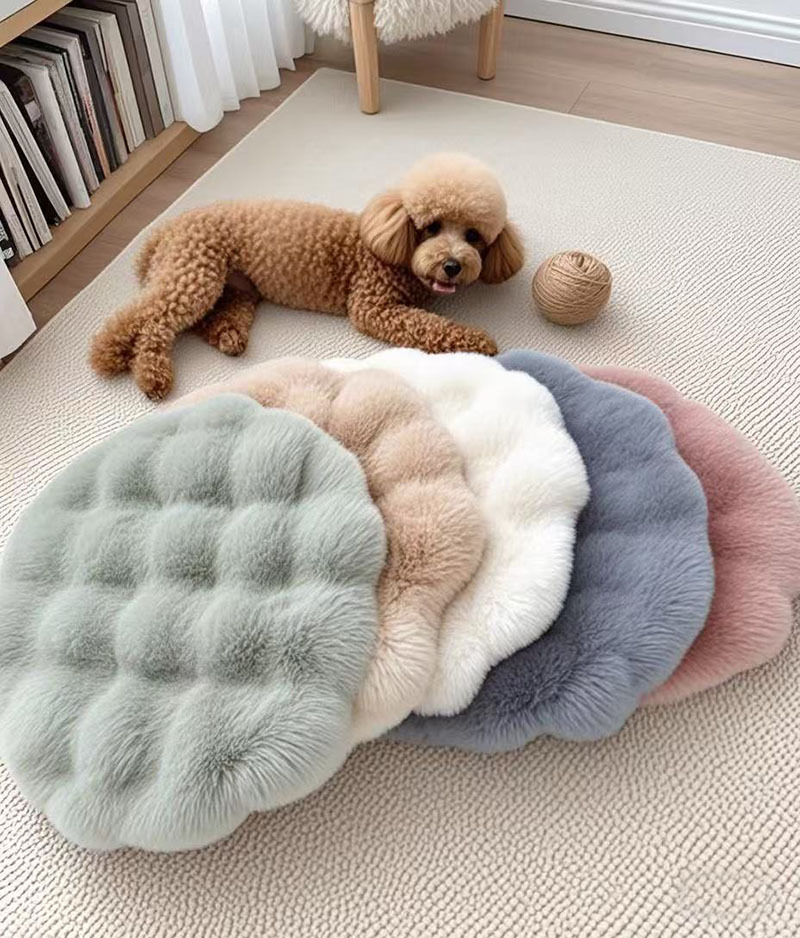 微信图片_20250508212806