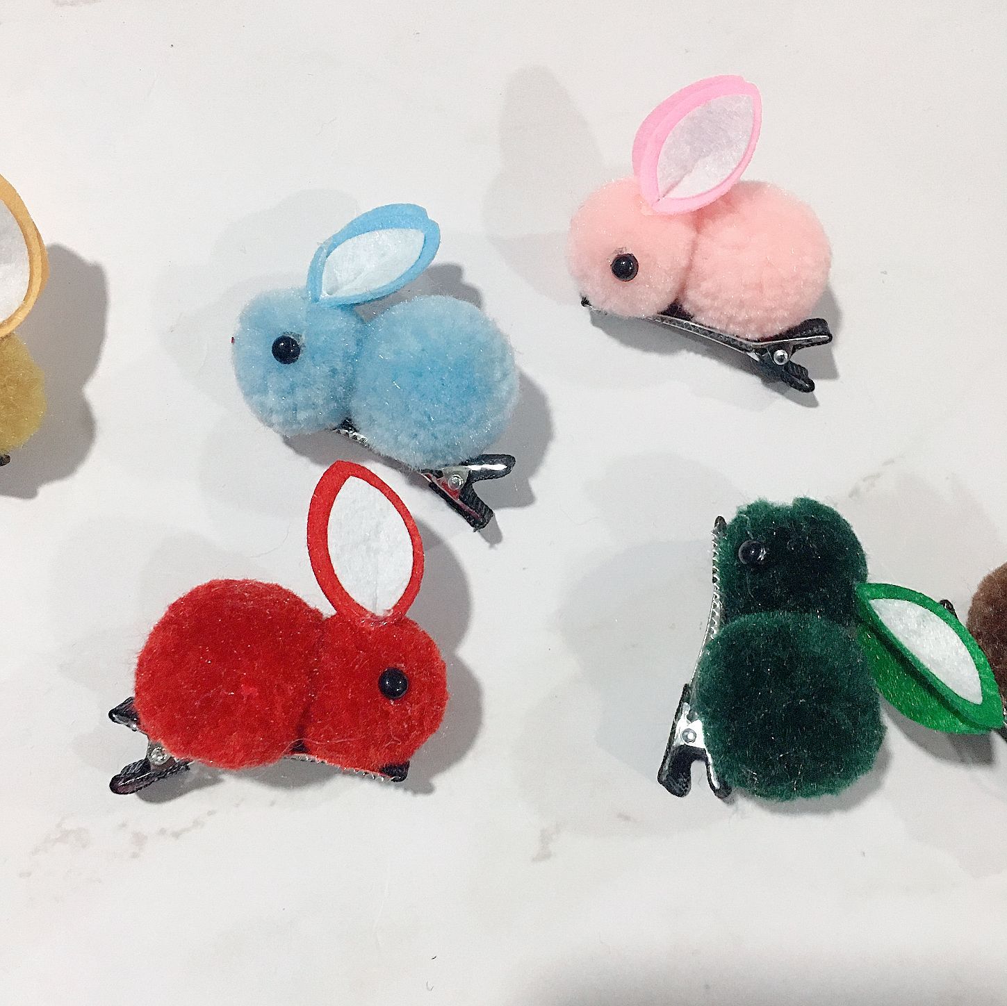 IMG_9499(20210111-133510)