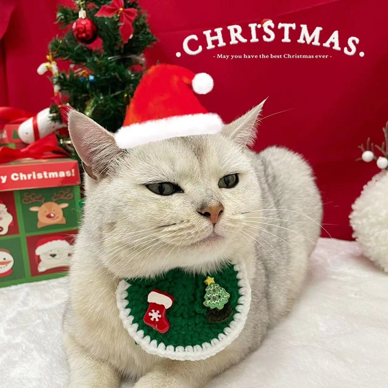 57f6a5a99035463f69a872ad5361dd