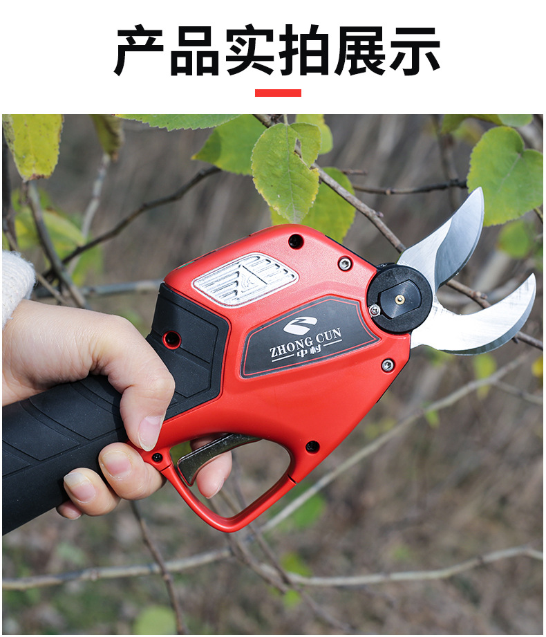 详情正确_22.jpg