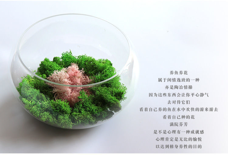 88e6e79f-4dc4-4195-a282-3e933df09381.jpe