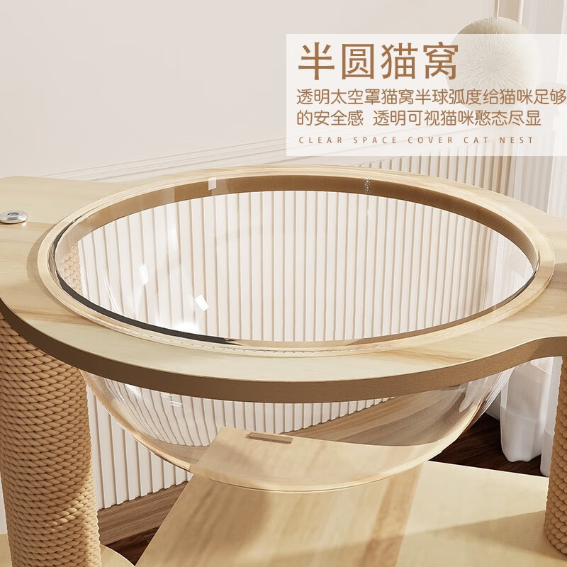 faf9b412-9714-47d8-b553-12fbd5aeb7d8.jpe