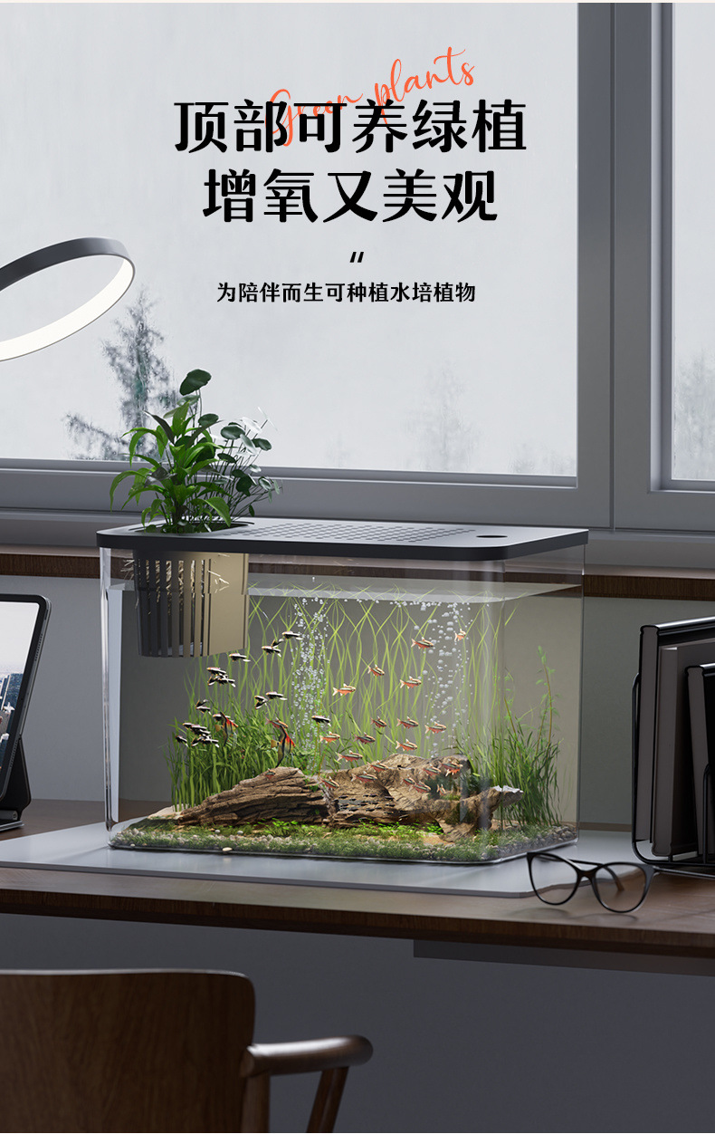 c5386983-e36e-4722-bdb6-dd7f06c7233b.jpe