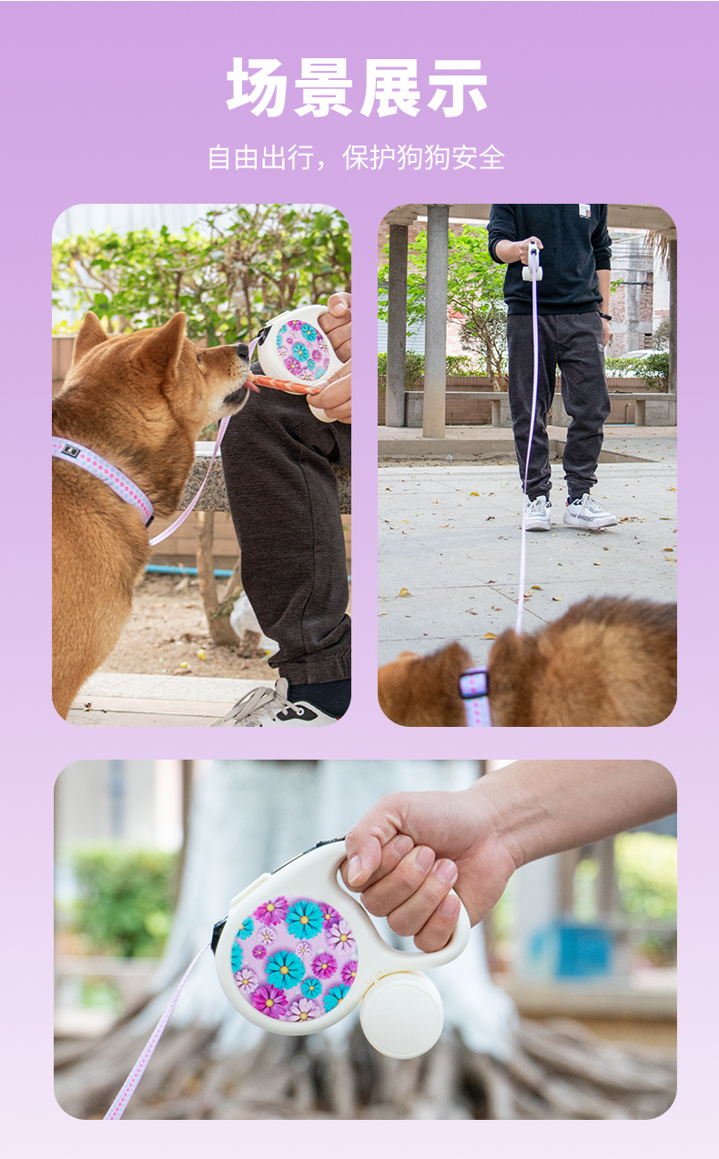 望日牵狗器-中文详情页_14.jpg