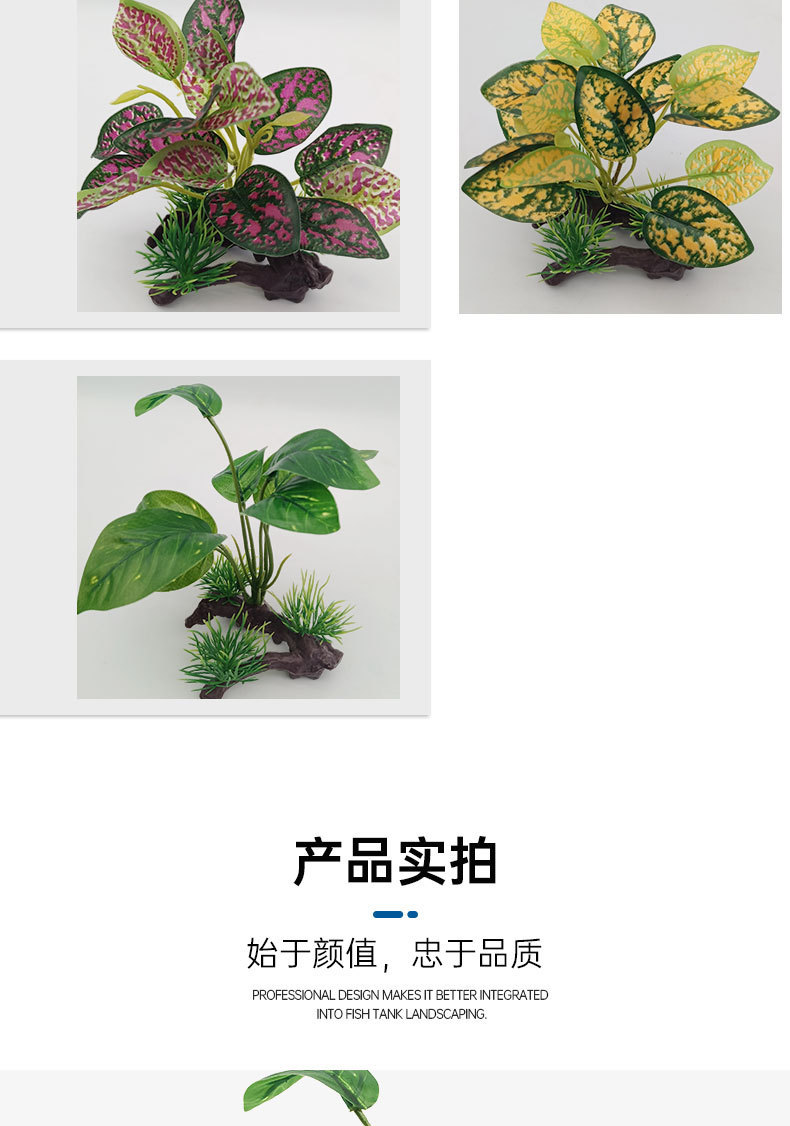 详情_05.jpg