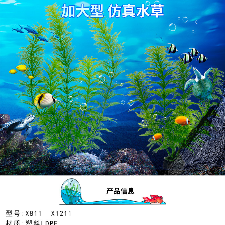 详情_01.jpg