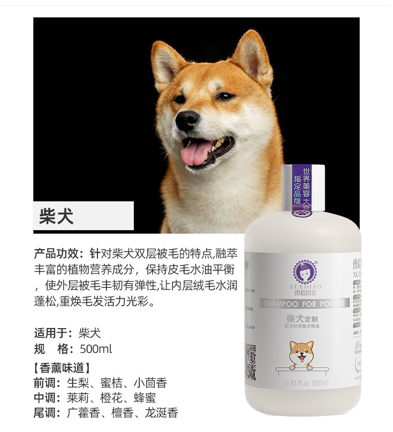 柴犬 800