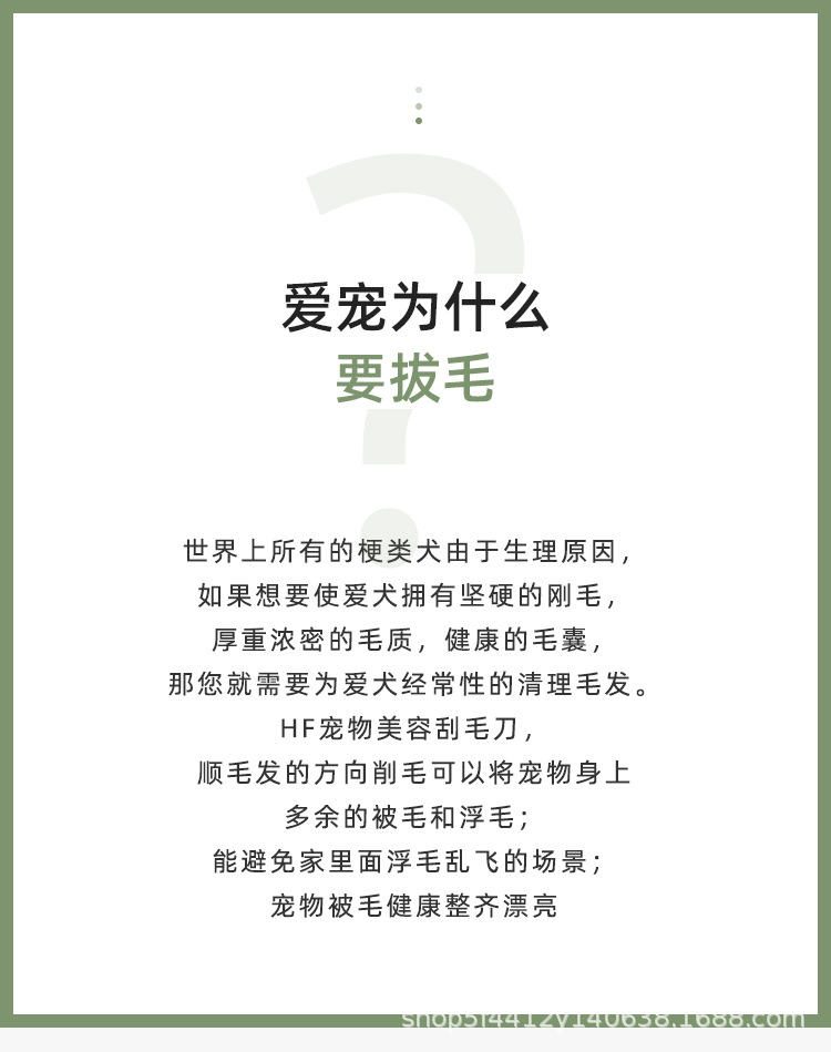 详情3.jpg