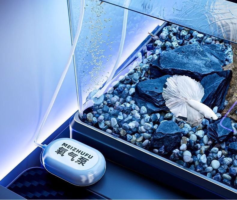 d779ab2d-ad5c-473c-b98d-4ca961970201.jpe