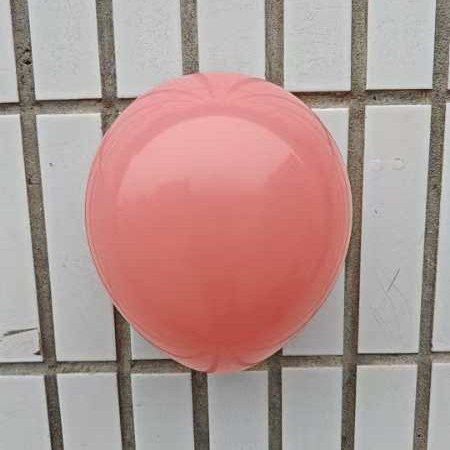 2024-11-15 12:53:13.jpg