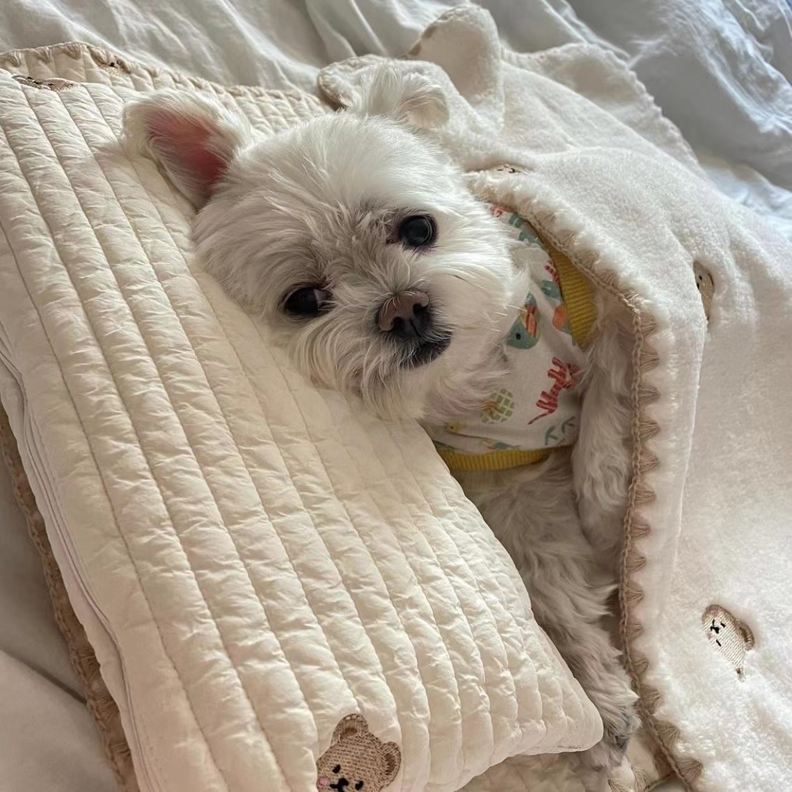 微信图片_20221012143416