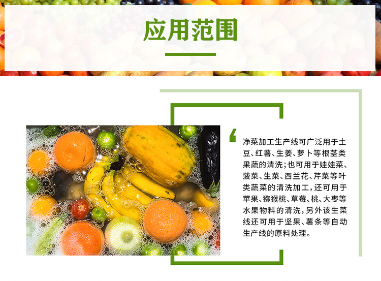 清洗线详情页_02.jpg