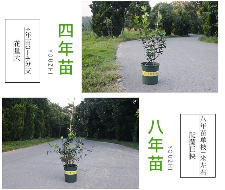 5dbf4083-1bbc-4653-a455-71b44f29fce4.jpe