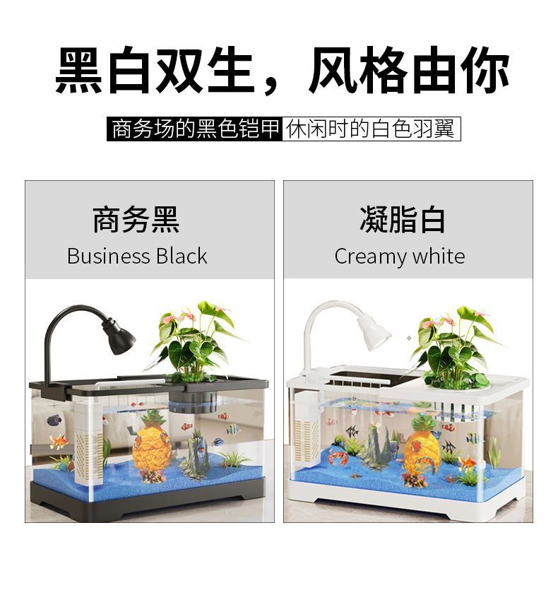 e0f5f513-b2b0-4f84-b775-44902b511ac6.jpe
