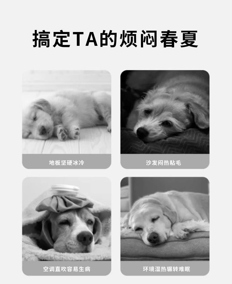 558e7a0d-70f7-4e1f-b372-68aa1ab28c23.jpe