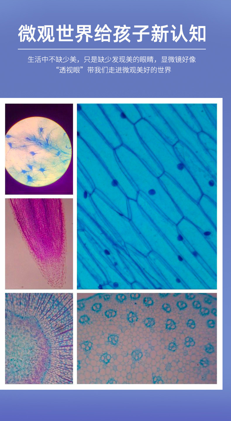 显微镜详情更新2_04