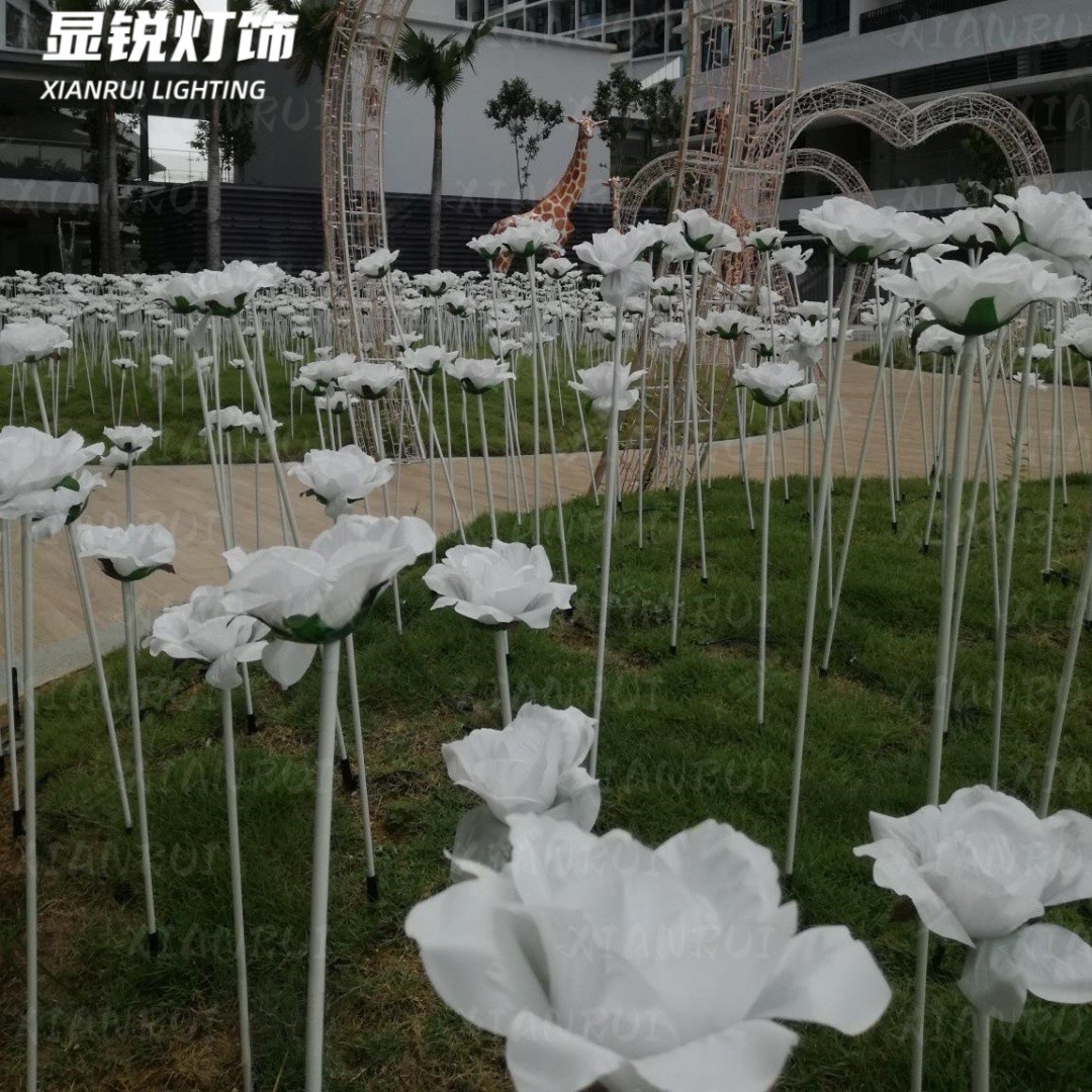 O1CN01WMENP61shXQaRD4vr_!!2212